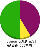 田中良工務店 貸借対照表 2009年12月期