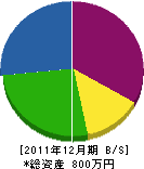 中嶋電工 貸借対照表 2011年12月期