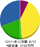 シモトリ電気 貸借対照表 2011年12月期