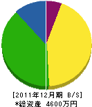 宮坂塗装店 貸借対照表 2011年12月期