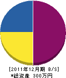 中島電工社 貸借対照表 2011年12月期