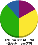 松塚畳店 貸借対照表 2007年12月期