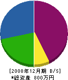 佐々木塗装 貸借対照表 2008年12月期