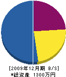 笠原電業社 貸借対照表 2009年12月期