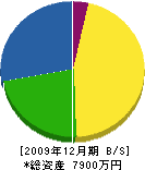 宮嶋板金 貸借対照表 2009年12月期