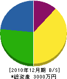 川上土木 貸借対照表 2010年12月期 川上土木 貸借対照表 2010年12月期
