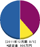 丸山商事 貸借対照表 2011年12月期