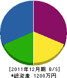 大塚土木 貸借対照表 2011年12月期
