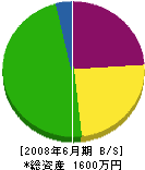 井川建設 貸借対照表 2008年6月期