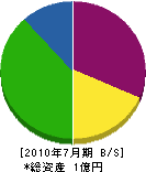 矢代法師園 貸借対照表 2010年7月期