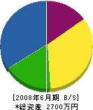 松本組 貸借対照表 2008年6月期