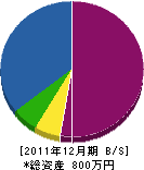 中山塗装店 貸借対照表 2011年12月期