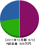 槌田住建 貸借対照表 2011年12月期