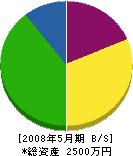 田中工務店 貸借対照表 2008年5月期
