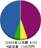藤井塗装工業所 貸借対照表 2009年12月期