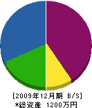 大津建設 貸借対照表 2009年12月期 大津建設 貸借対照表 2009年12月期