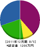 伊藤電気 貸借対照表 2011年12月期