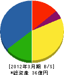 新日本フエザーコア 貸借対照表 2012年3月期