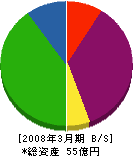 沖縄通信ネットワーク 貸借対照表 2008年3月期