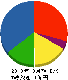 大塚建設 貸借対照表 2010年10月期