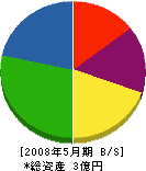 松江組 貸借対照表 2008年5月期