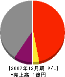 徳村組 損益計算書 2007年12月期