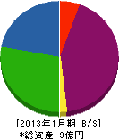 安田陳列 貸借対照表 2013年1月期