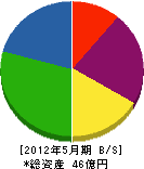 三澤建設 貸借対照表 2012年5月期