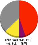 関城化学工業所 損益計算書 2012年9月期