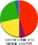沖津砂利 貸借対照表 2007年12月期