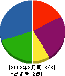斎辰土建 貸借対照表 2009年3月期