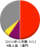 祝田電気工事 損益計算書 2012年12月期
