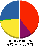 藤田電気商会 貸借対照表 2008年7月期