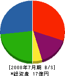 カタヤマ 貸借対照表 2008年7月期