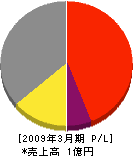 カワサキ・コンストラクト 損益計算書 2009年3月期