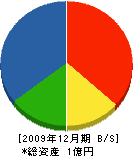 佐藤水道 貸借対照表 2009年12月期