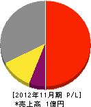 大垣塗工 損益計算書 2012年11月期