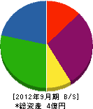 斉藤組 貸借対照表 2012年9月期