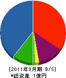 勝浦開発 貸借対照表 2011年9月期