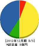 柴坂建設 貸借対照表 2012年12月期