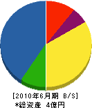 横山電気工業 貸借対照表 2010年6月期