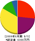 ＊澤工務店 貸借対照表 2009年8月期