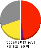 早川工芸 損益計算書 2008年5月期