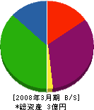 北井工務店 貸借対照表 2008年3月期