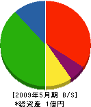 大永電機商会 貸借対照表 2009年5月期