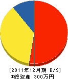 染矢塗装店 貸借対照表 2011年12月期