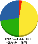 竹中商会 貸借対照表 2012年4月期