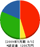 カミムラ 貸借対照表 2009年5月期