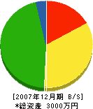 小田電気工事 貸借対照表 2007年12月期