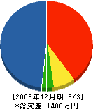 藤沢昭電社 貸借対照表 2008年12月期